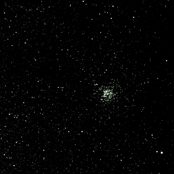 M11(NGC6705)