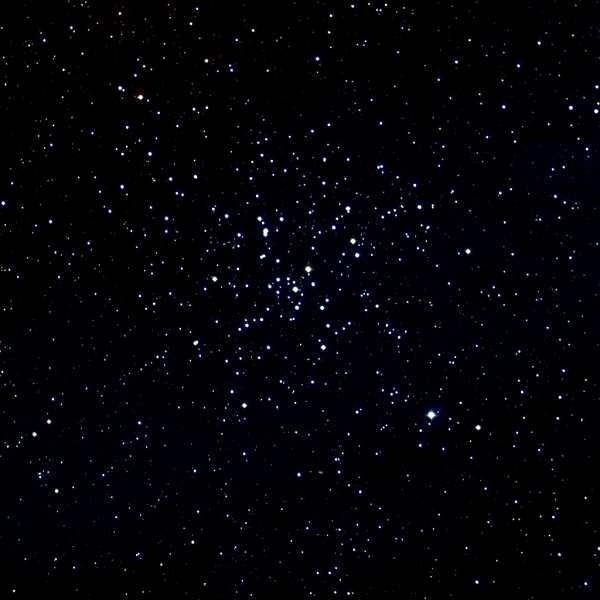 M41(NGC2287)