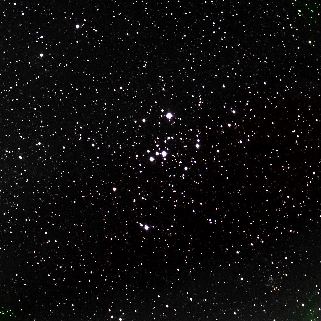 M47(NGC2422)