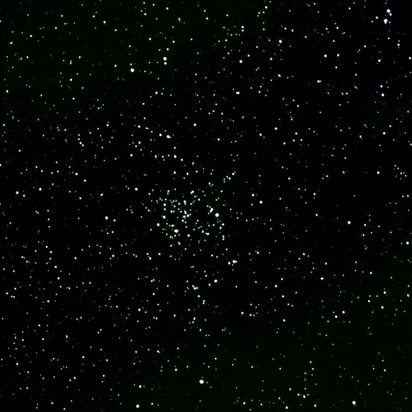 M50(NGC2323)